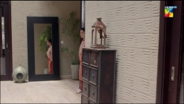 Bichoo - 17th May 2022